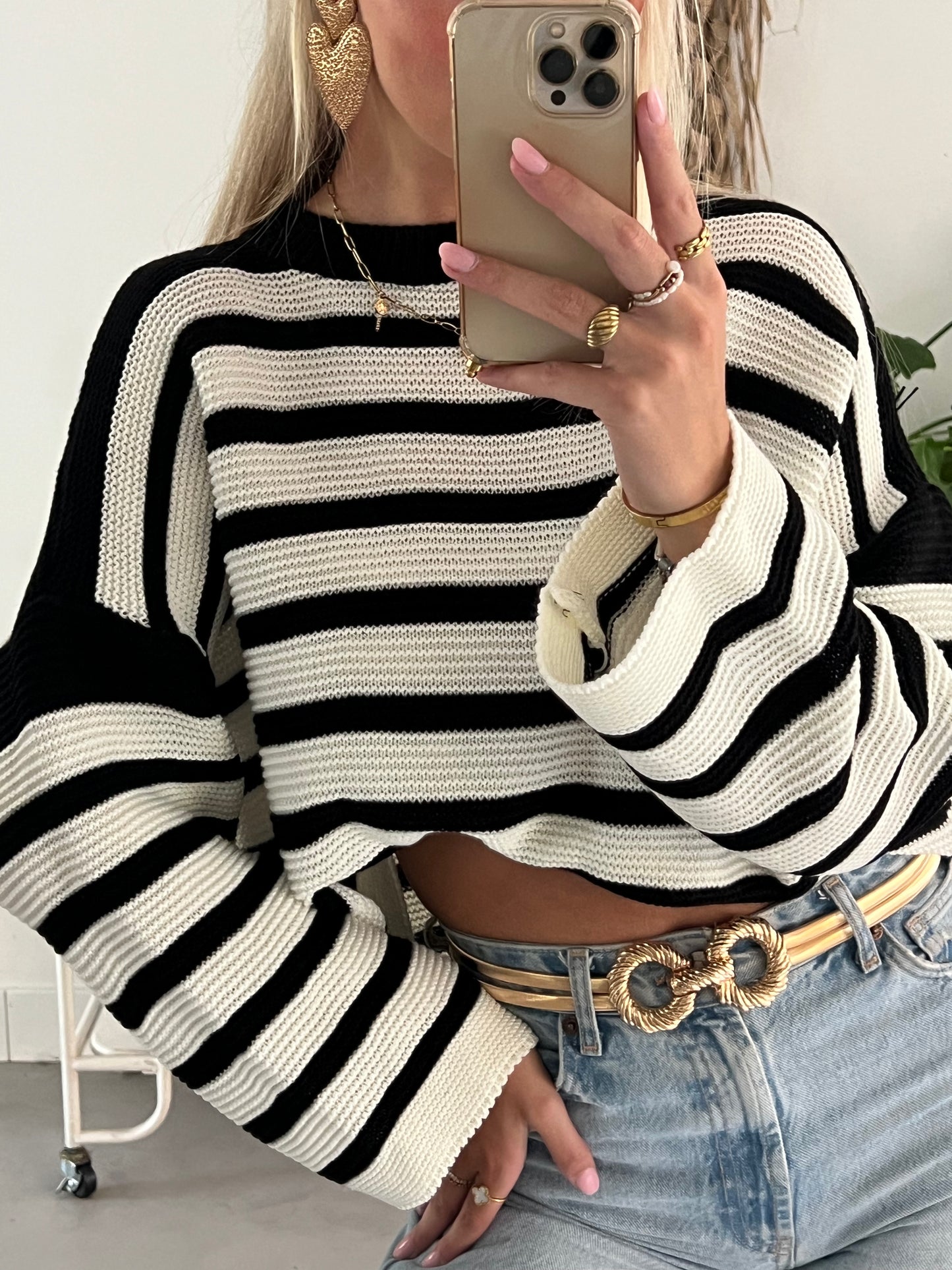Fien Belt