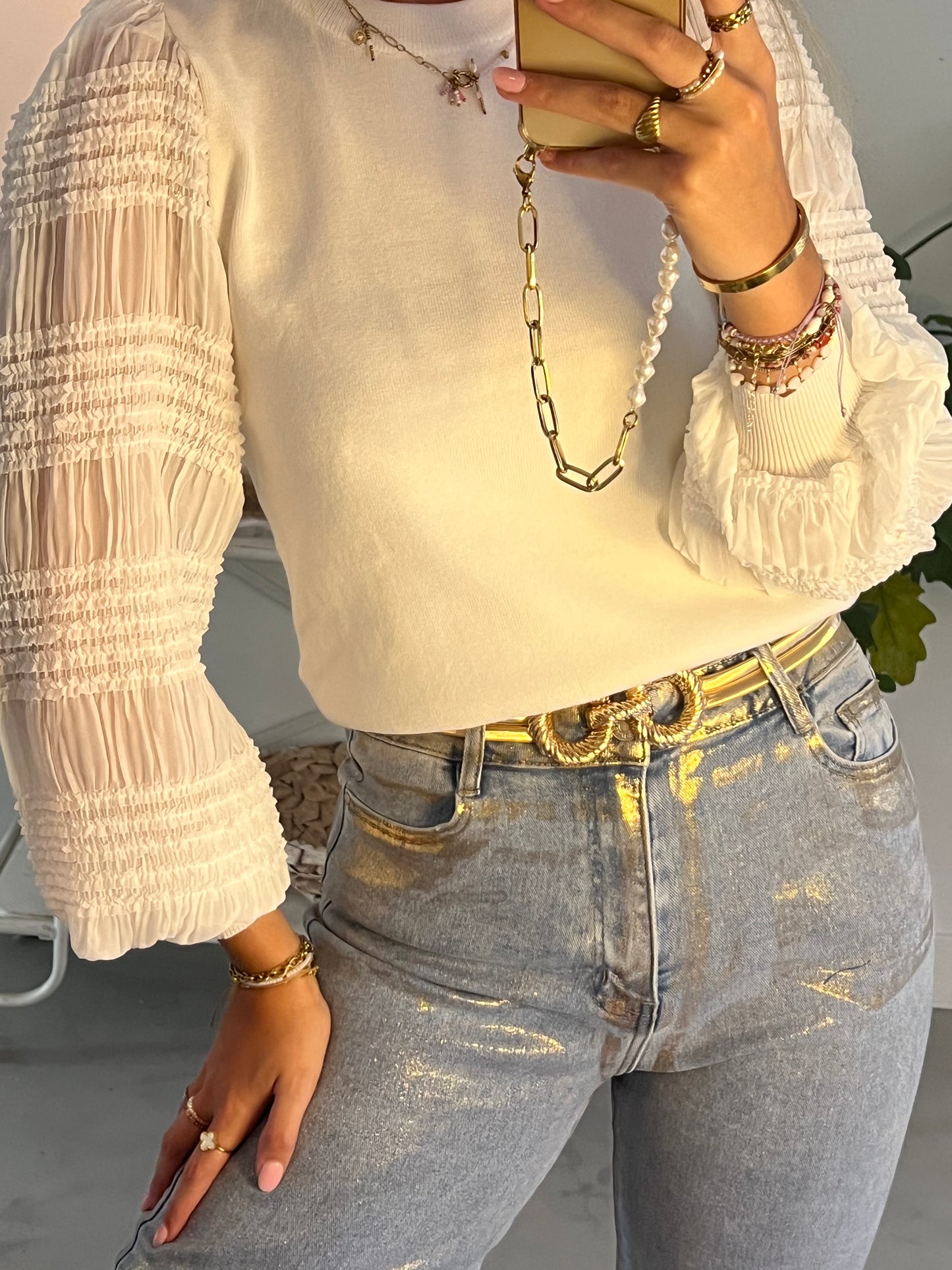 Fien Belt