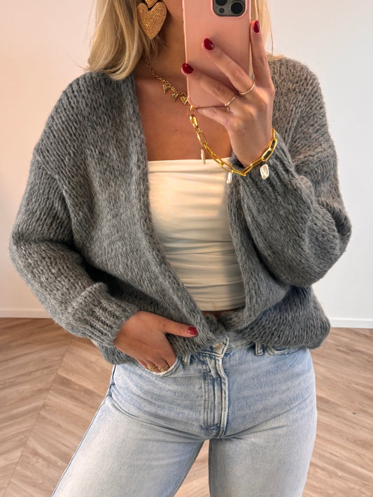 Mara Cardigan Grijs